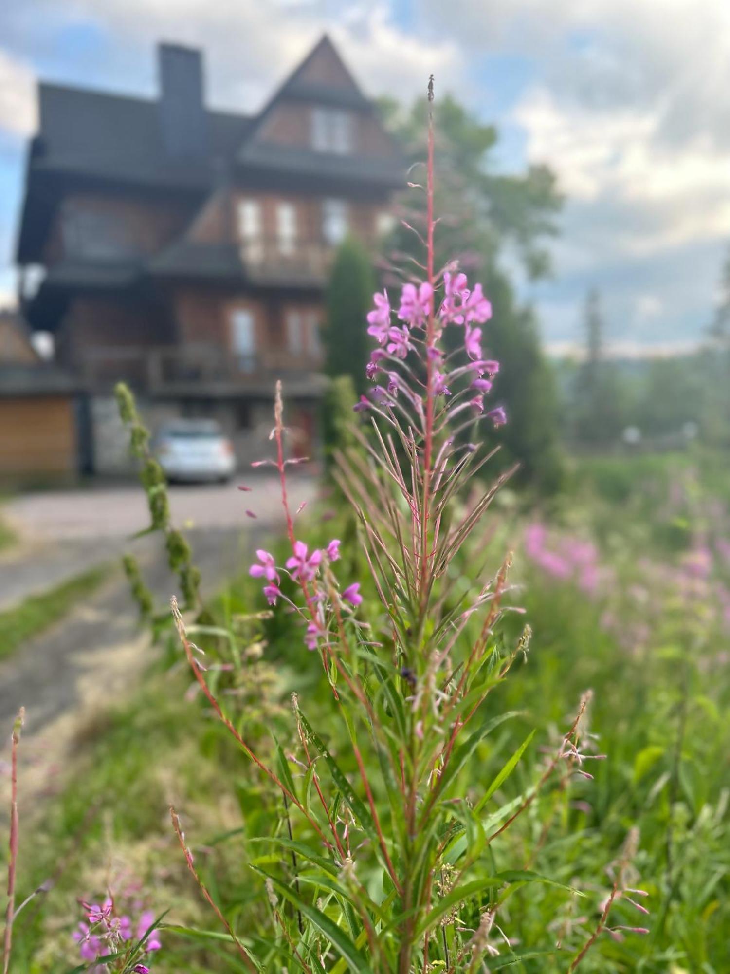 Willa Alta Bukowina Tatrzańska Exterior foto