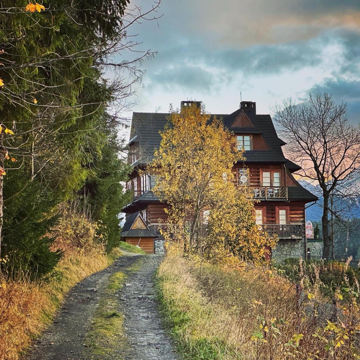 Willa Alta Bukowina Tatrzańska Exterior foto